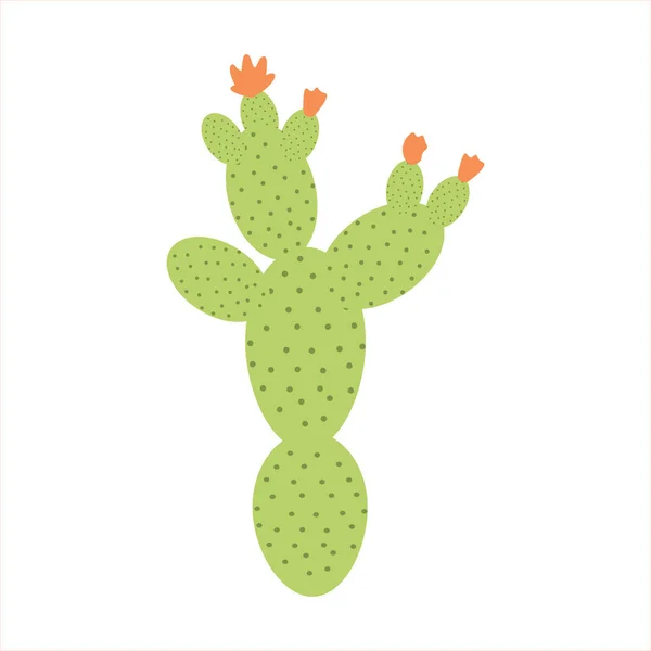 Illustration Vectorielle Simple Isolée Opuntia — Image vectorielle