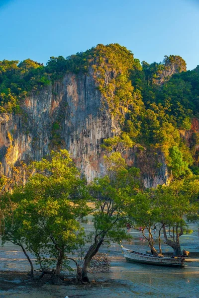 Copacii cresc în mare. Krabi, Thailanda . — Fotografie, imagine de stoc