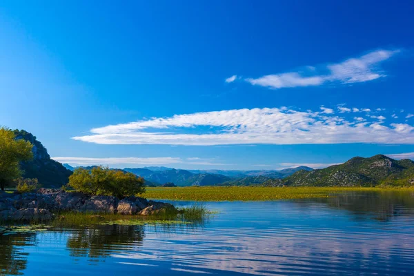 Árboles y arbustos crecen en las rocas en medio del lago Skadar. Montenegro . — Foto de Stock