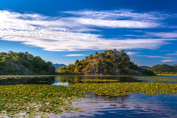 Isla rocosa en el lago Skadar rodeada de nenúfares. Montenegro . — Foto de Stock