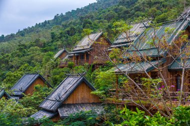 Ahşap bambu ormanda ev sahipliği yapmaktadır. Sanya Li ve Miao köyü. Hainan, Çin.