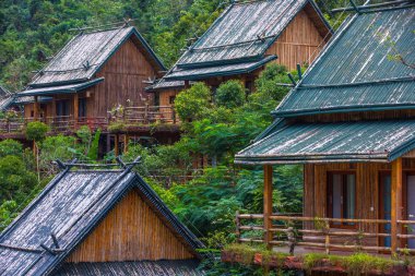 Ahşap bambu ormanda ev sahipliği yapmaktadır. Sanya Li ve Miao köyü. Hainan, Çin.