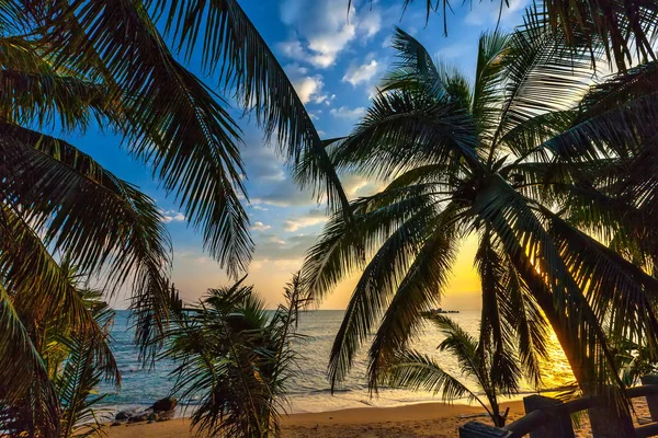 Sanya sahil Adası. 