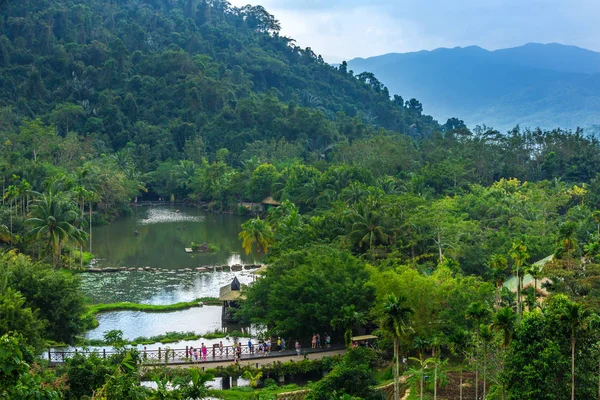 Rainforest gölde. Yanoda yağmur ormanları. Hainan, Çin.