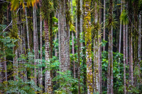 Sanya li und miao village. hainan, china. — Stockfoto