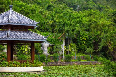 Chinese gazebo on a pond, dotted with water lilies. Yalong Bay Tropic Paradise Forest Park, Hainan, China. clipart