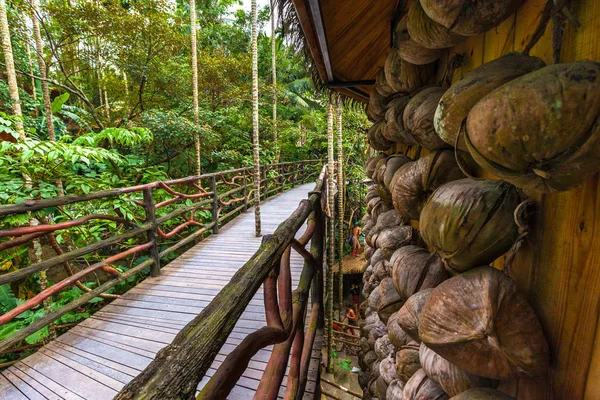 Gedroogde kokosnoten op de muur voor de brug. Sanya Li en Miao-dorp. Hainan, China. — Stockfoto