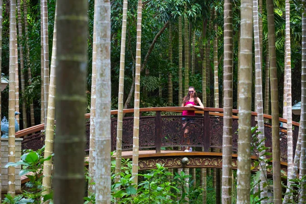 Paseo por el Parque Forestal Tropic Paradise de Yalong Bay, Hainan, Chin — Foto de Stock