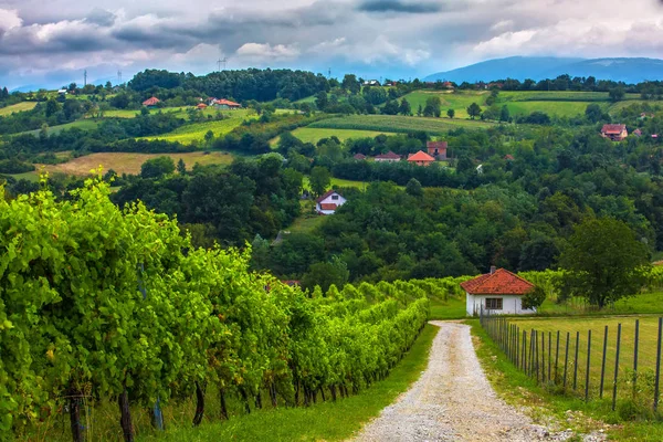 Vadi Valjevo, Sırbistan.