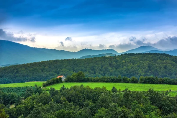 Ormanlar ve tepelerinde Batı Valjevo, Sırbistan.
