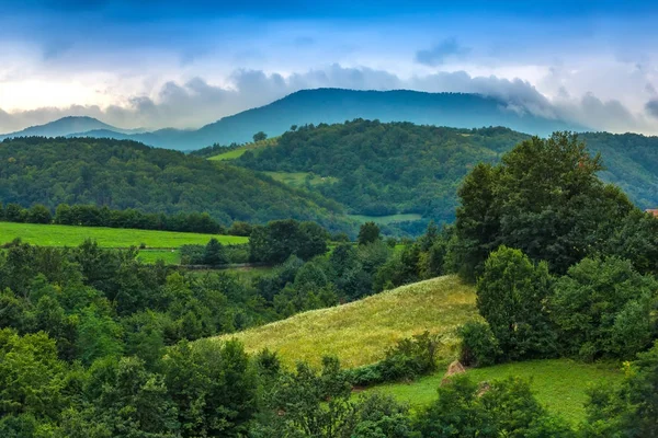 Yeşil Valjevo, Sırbistan.
