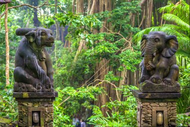 Maymun Ormanı, Ubud, Bali, Endonezya.