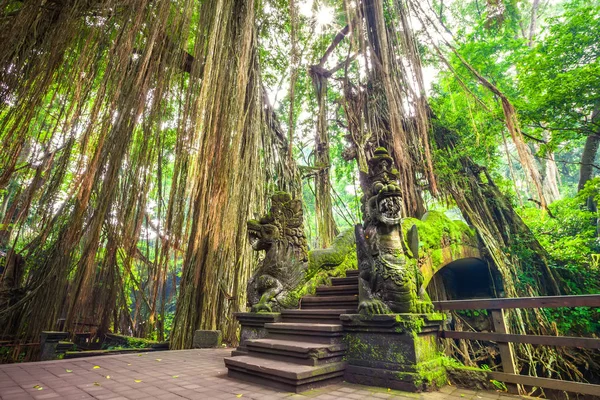 Maymun orman, Ubud Bali Endonezya Dragon Köprüsü. — Stok fotoğraf