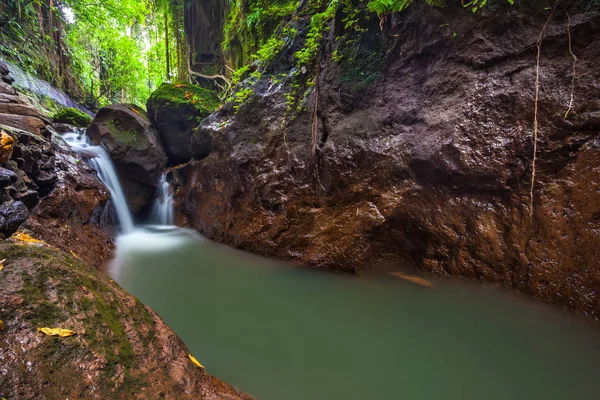 Река в Monkey Forest, Ubud, Бали, Индонезия . — стоковое фото