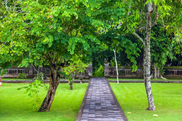 在阳光明媚的绿色草坪上 在热带树木之间铺路 寺庙综合体的天井的舒适花园 — 图库照片