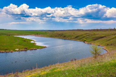 Yeşil bahar Rusya'da.