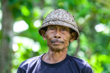 Ubud, Bali, Endonezya - 2015 Mart.