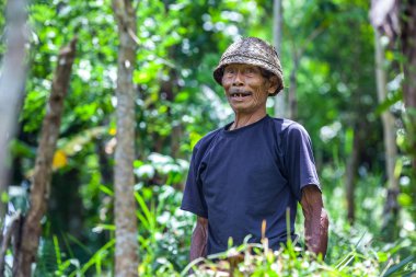 Ubud, Bali, Endonezya - 2015 Mart.