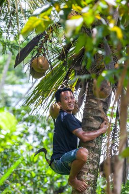 Ubud, Bali, Endonezya - 2015 Mart.