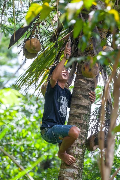 Ubud, bali, indonesien - märz 2015. — Stockfoto