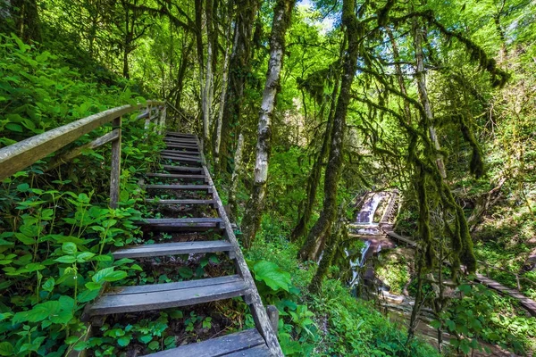 33 Wasserfälle, Sotschi, Russland. — Stockfoto