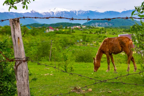Dağlar arka planda kırsal manzara.