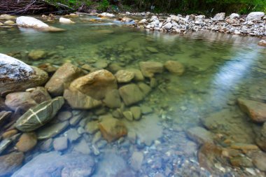 Orman manzara civarında Sochi, Rusya Federasyonu.