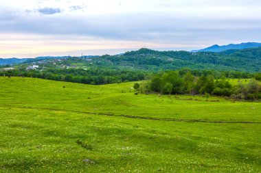 Soçi, Rusya'nın kırsal akşam bahar manzara.