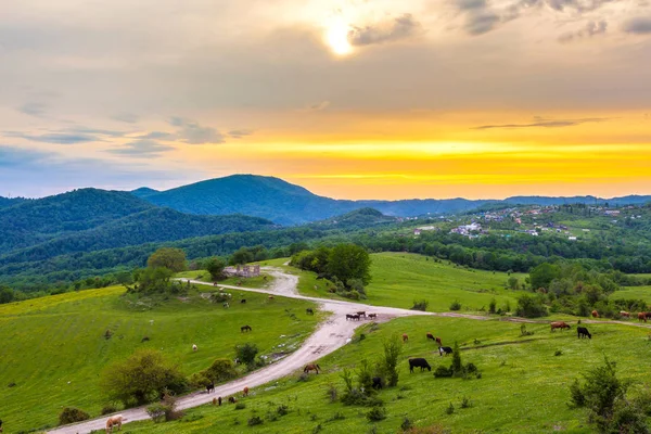 Paisagem rural da primavera da noite em Sochi, Rússia . — Fotografia de Stock