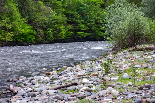 Mzymta rivier, Adler-Sotsji, Rusland. — Stockfoto