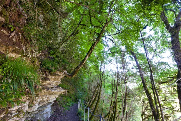 Eingezäunter Gehweg Wald Entlang Der Klippe Mit Einem Kleinen Metallzaun — Stockfoto