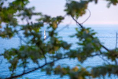 İle dalgaların üzerinde bir çerçeve oluşturan ağaçlar yeşil dallar ile sessiz bir yerde çok parlak parlak açık gökyüzü mavi su üzerinde bir Yelkenli.