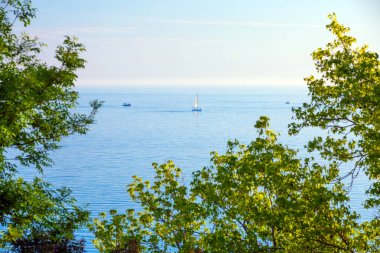 İle dalgaların üzerinde bir çerçeve oluşturan ağaçlar yeşil dallar ile sessiz bir yerde çok parlak parlak açık gökyüzü mavi su üzerinde bir Yelkenli.