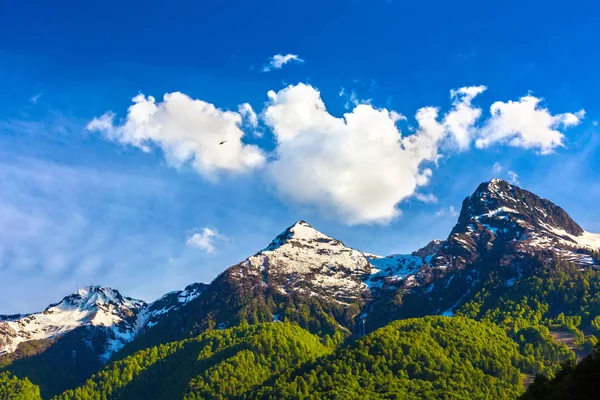 Sorprendentemente Hermosa Cordillera Con Nieve Derretida Bosque Verde Brillante Los — Foto de Stock