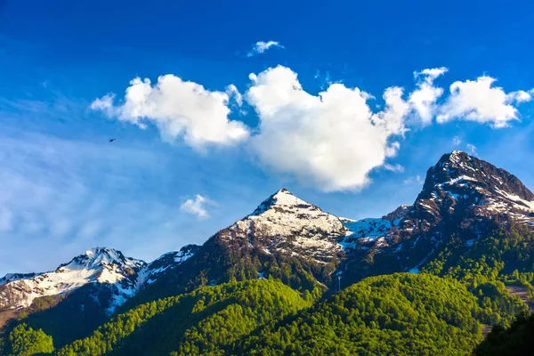 Surprisingly Beautiful Mountain Range Melted Snow Bright Green Forest Foot — Stock Photo, Image