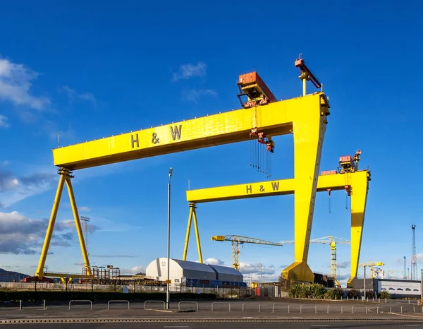 Samson ve Goliath. Belfast ünlü tersane Vinçler