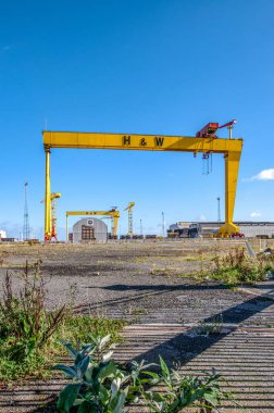 Samson ve Goliath. Belfast ünlü tersane Vinçler