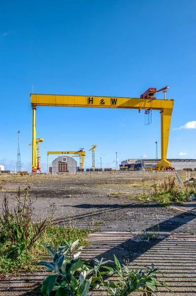 Samson ve Goliath. Belfast ünlü tersane Vinçler