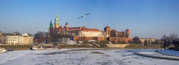 Wawel-Winterpanorama mit einer Möwe — Stockfoto