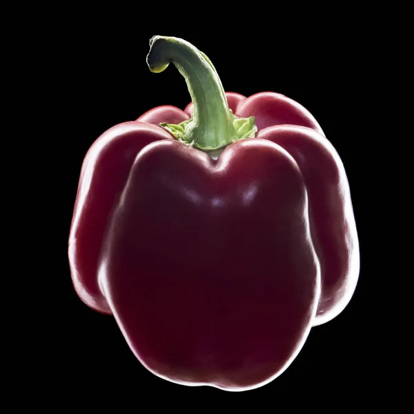 Elegante peperone rosso su uno sfondo nero isolato — Foto Stock
