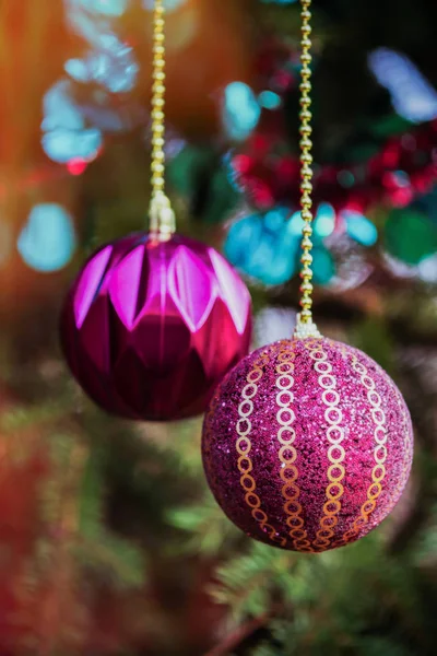 New Year balls hang on a gold chain. Fluffy green spruce.