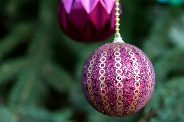 New Year balls hang on a gold chain. Fluffy green spruce.