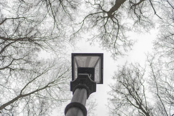 Gatan elektrisk ficklampa i parken. Toppar av träd. Moskva, t — Stockfoto