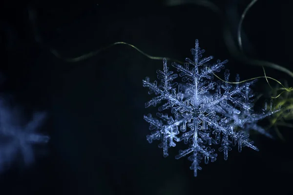 자연적인 눈송이 클로즈업. 겨울, 차가운입니다. 크리스마스. — 스톡 사진