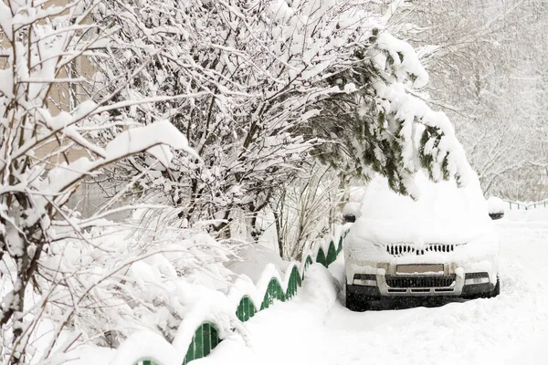 汽车和树木都被雪覆盖着。冬天, 寒冷. — 图库照片
