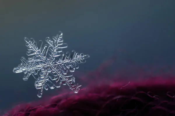 Echtes Schneeflockenmakro. Natur im Winter, Kälte. — Stockfoto