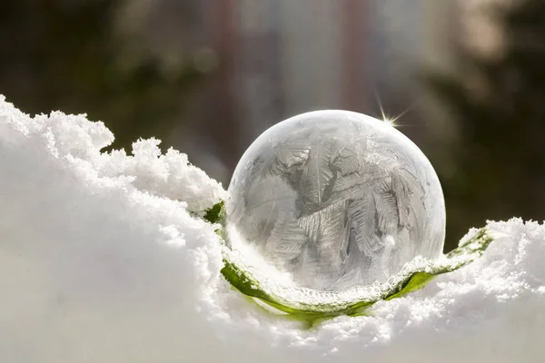 Die Seifenblase erstarrte im Frost und verwandelte sich in Eis. — Stockfoto
