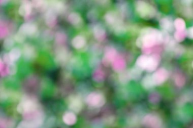 Arka plan bulanıklık duvar kağıdı için çok renkli