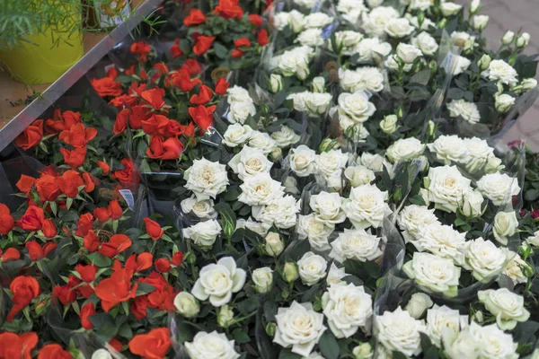 Buquê de rosas vermelhas e brancas na loja — Fotografia de Stock