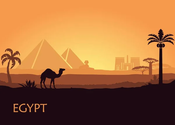 Kamel in wilden Afrika Pyramiden Landschaft Hintergrund Illustration — Stockvektor